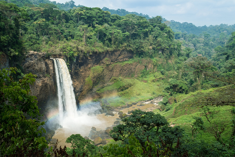 Camerún