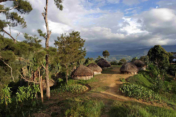 Papúa Nueva Guinea